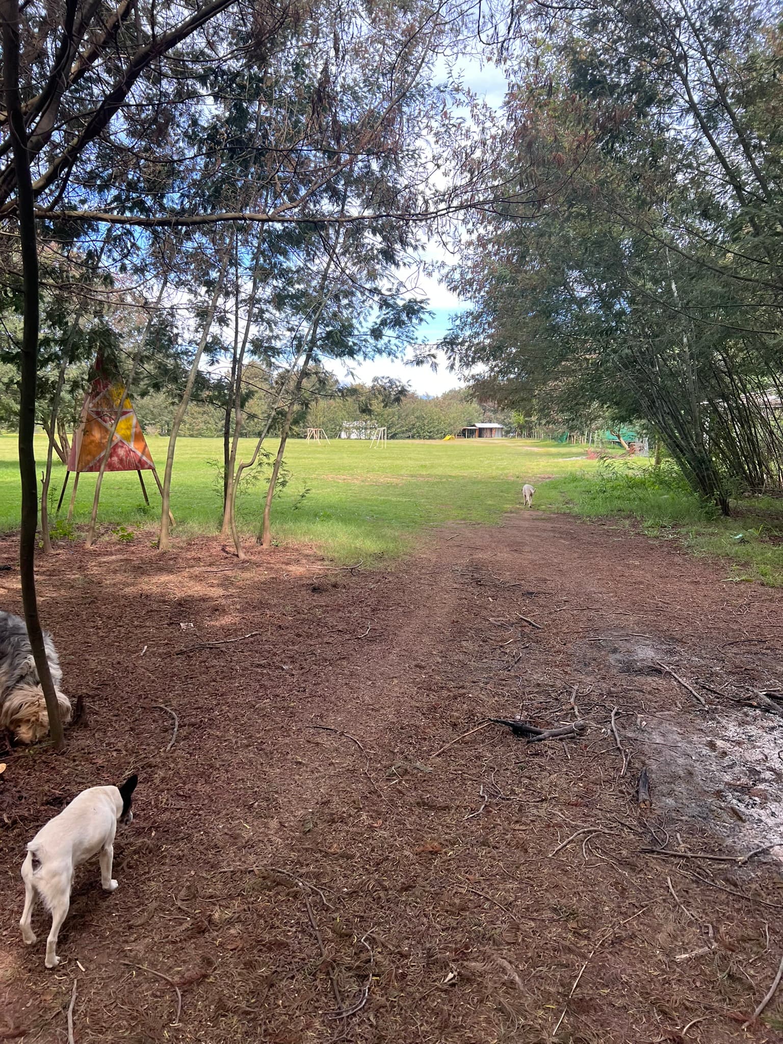 Vistas del predio Camping Trapiche San Manuel