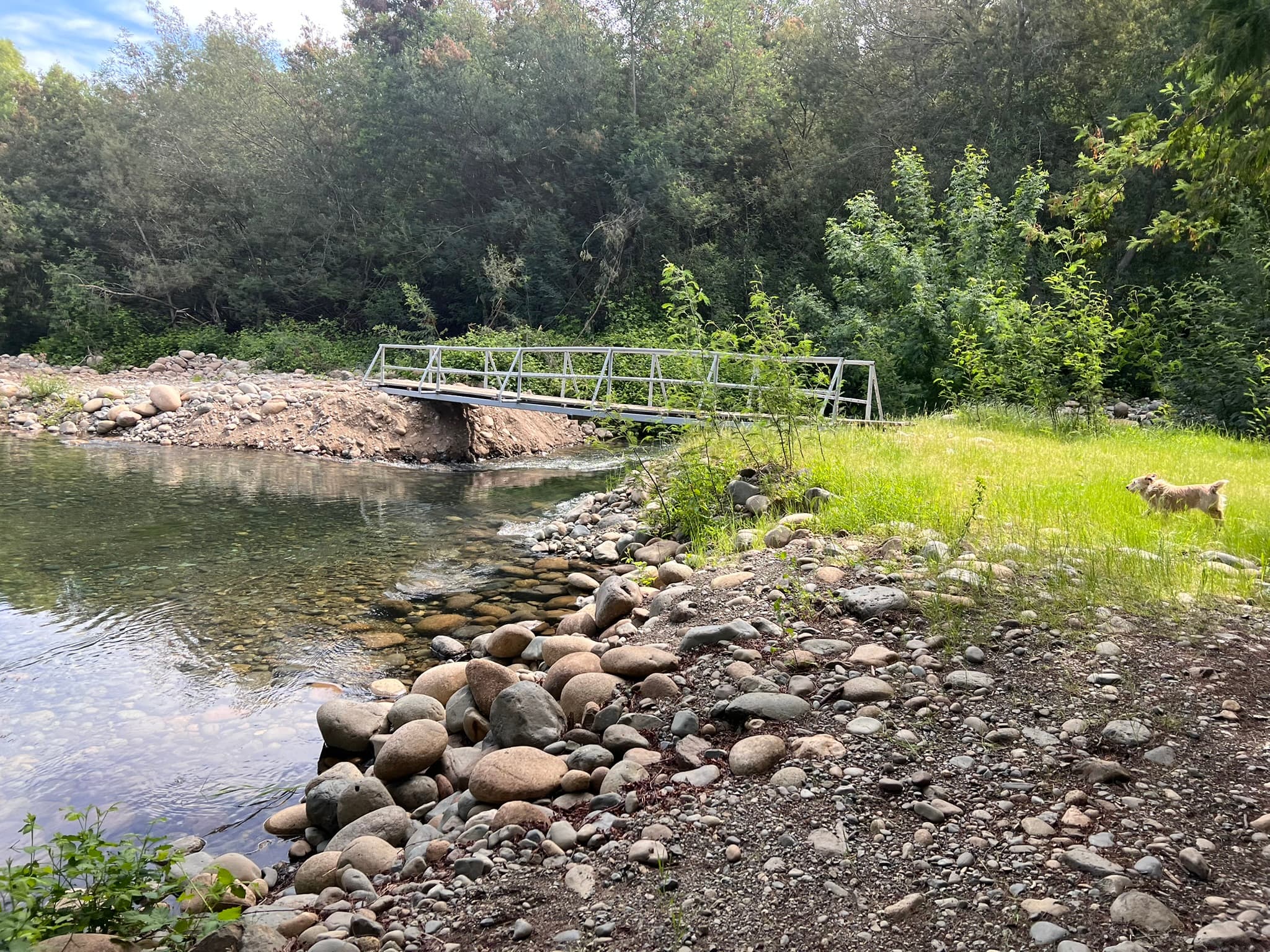 Puente sobre la laguna